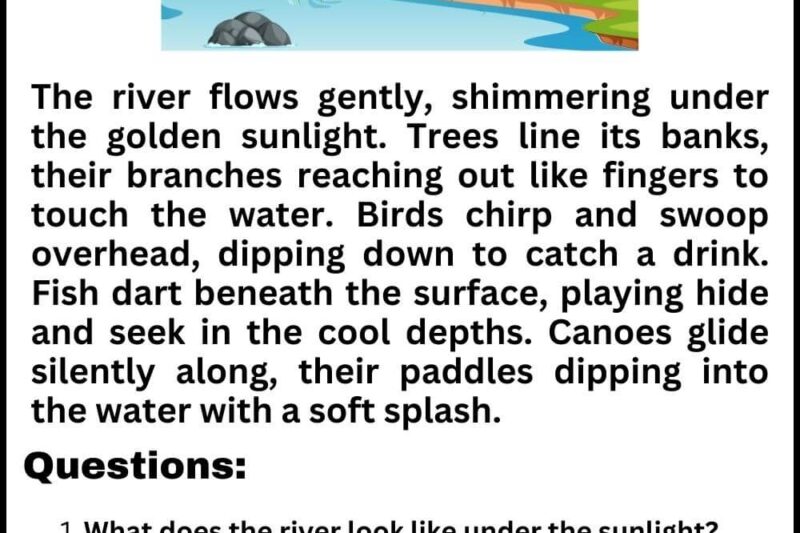 Reading Comprehension Worksheets And Answers