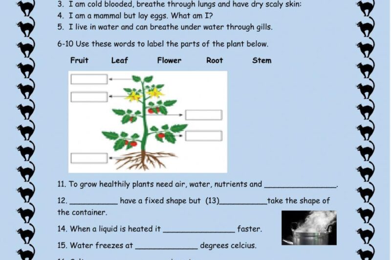 4th Grade Printable Science Worksheets Free
