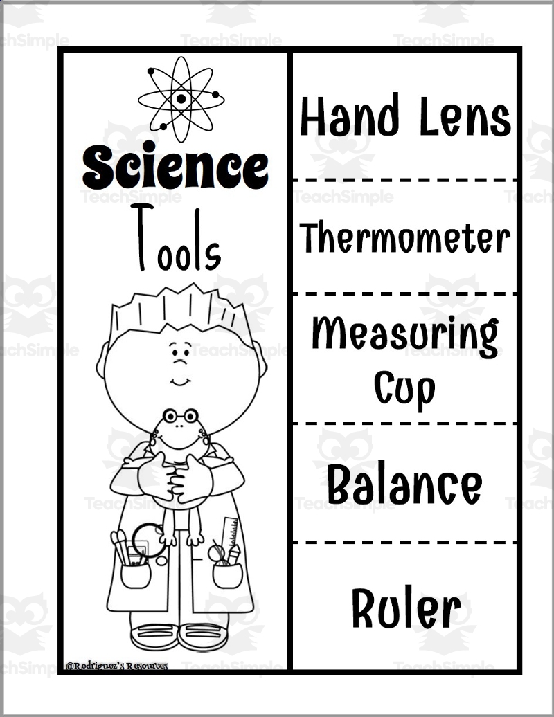 Science Tools In Kindergarten Worksheets Library
