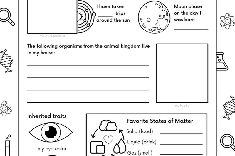 Free Printable Middle School Science Worksheets