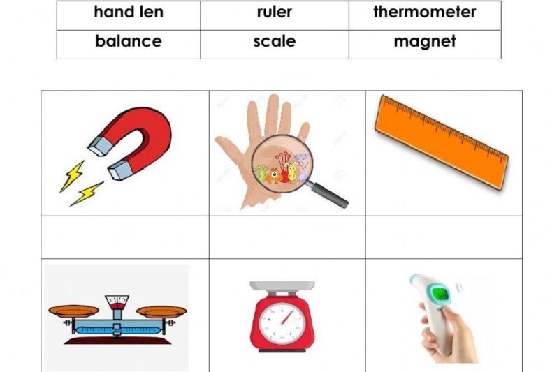 Free Kindergarten Science Tools Worksheet