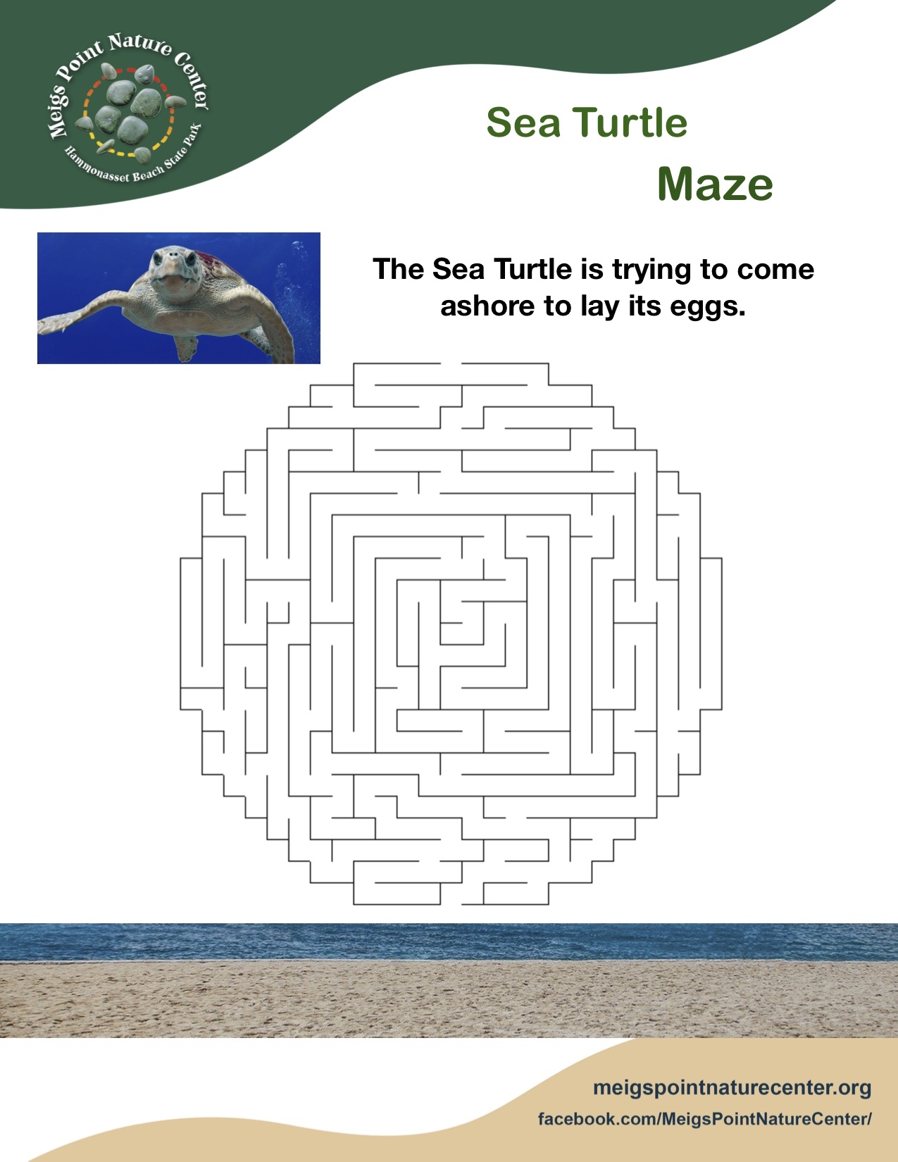 Turtle Maze Worksheet