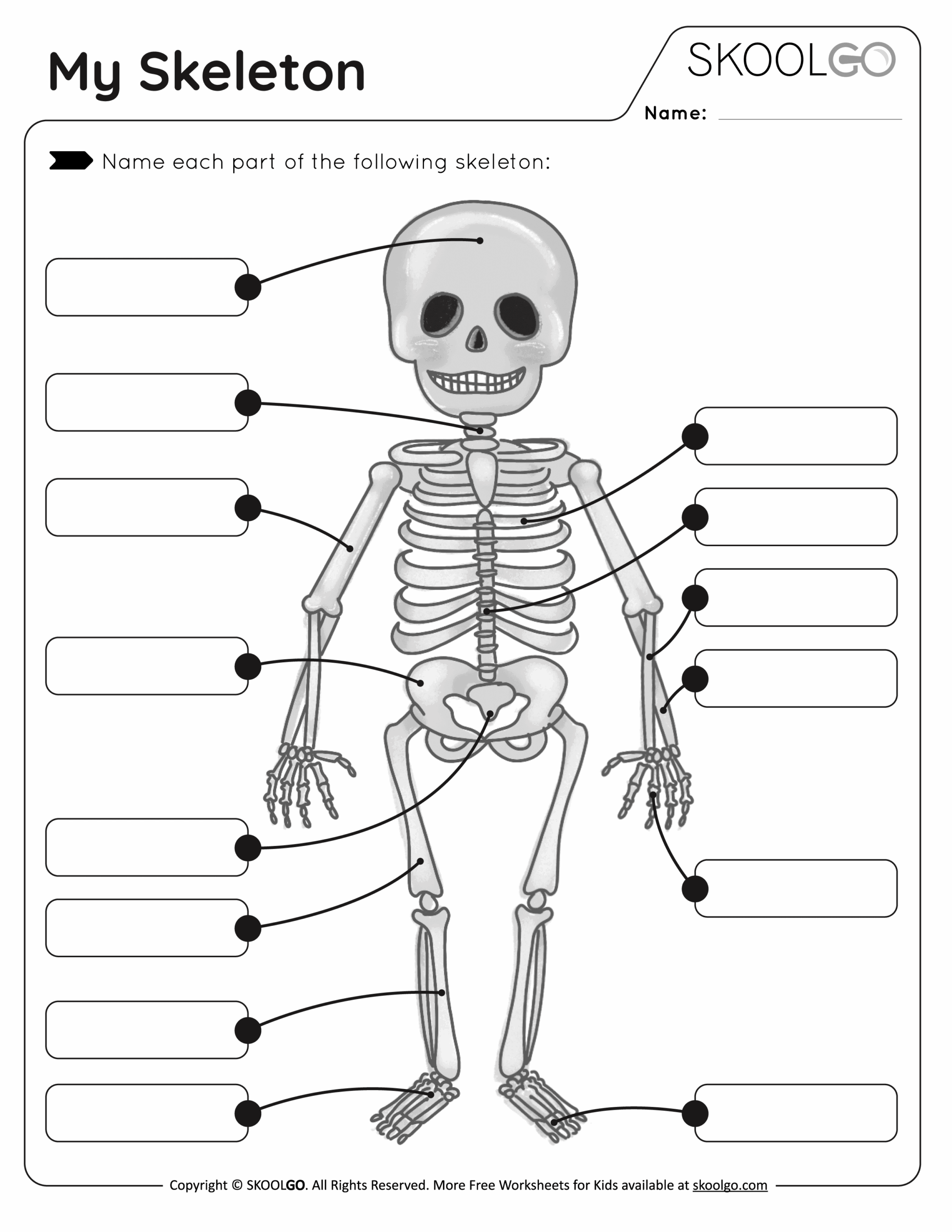 Skeleton Worksheets For Engaging Anatomy Learning Printable Bone Structure Activities