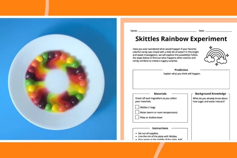 Printable Skittles Experiment Worksheet Free