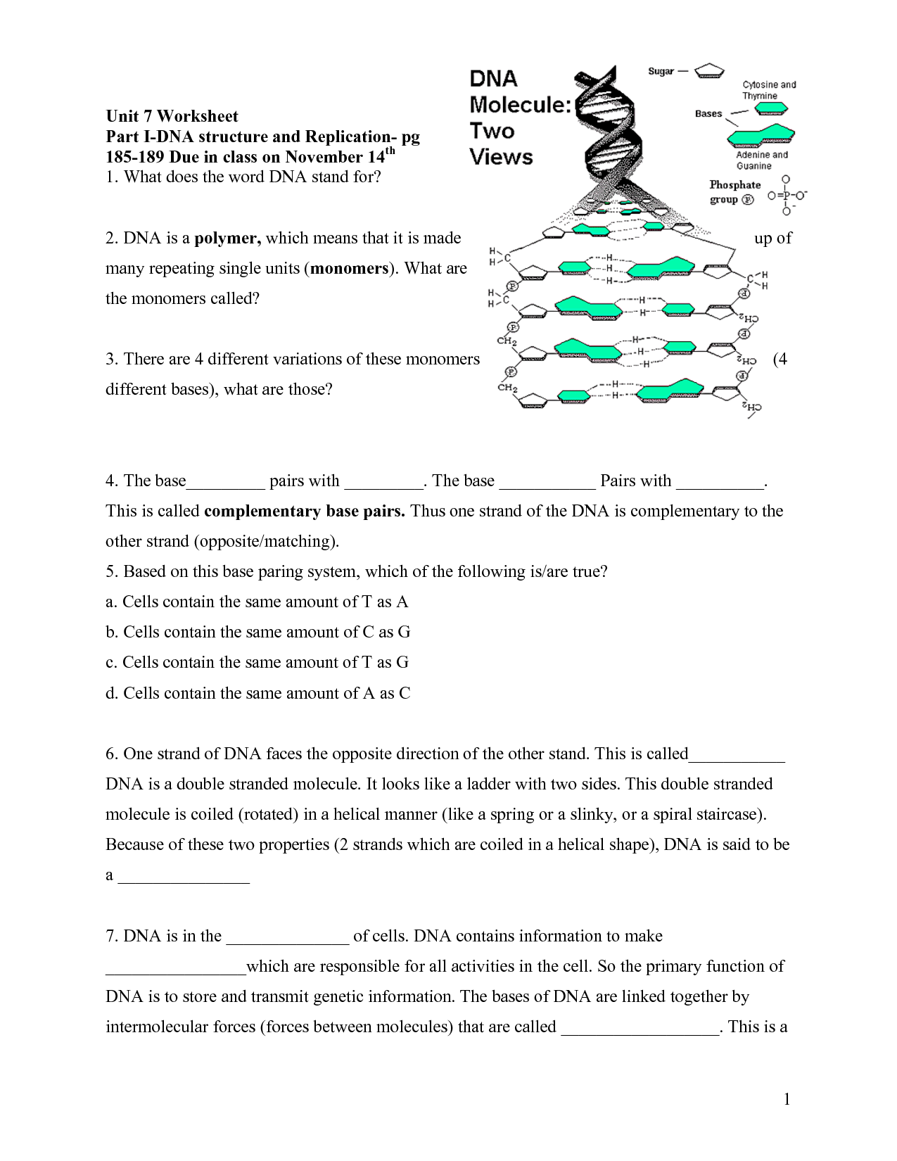 Dna Structure Maze Worksheet Answer Key