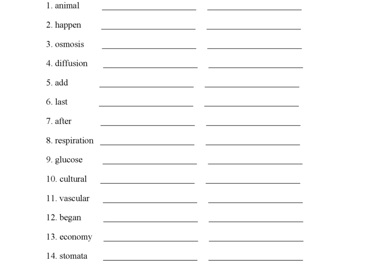 Free Printable 5th Grade Spelling Worksheets