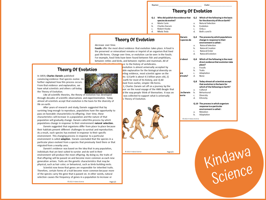 Evolution Reading Comprehension Worksheet Evolution Reading Comprehension Worksheet