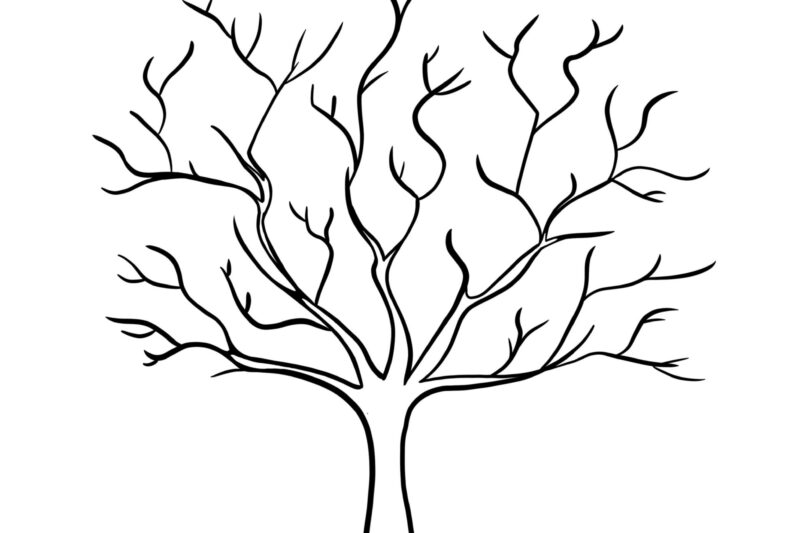 Preschool Tree Printable