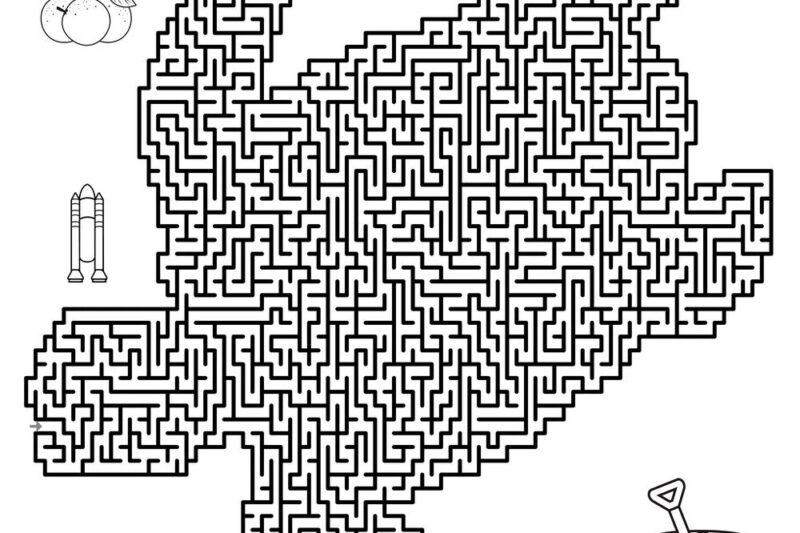 Turtle Maze Worksheet