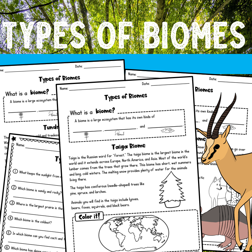 Types Of Biomes Worksheets And BOOM Cards Made By Teachers Types Of Biomes Worksheets And BOOM Cards Made By Teachers