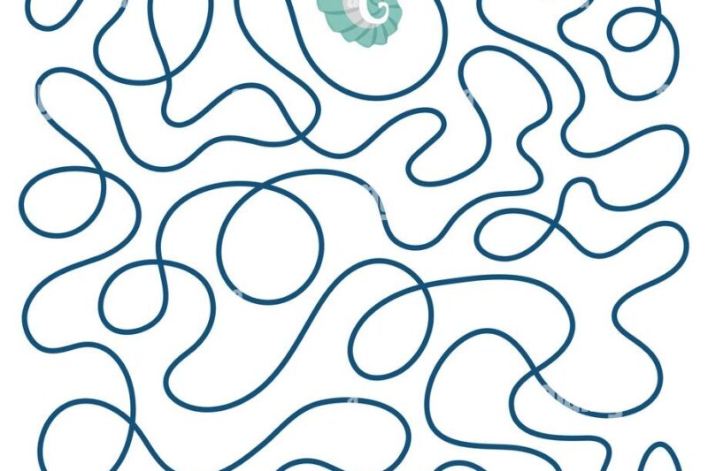 Clownfish And Sea Anemone Maze Worksheet