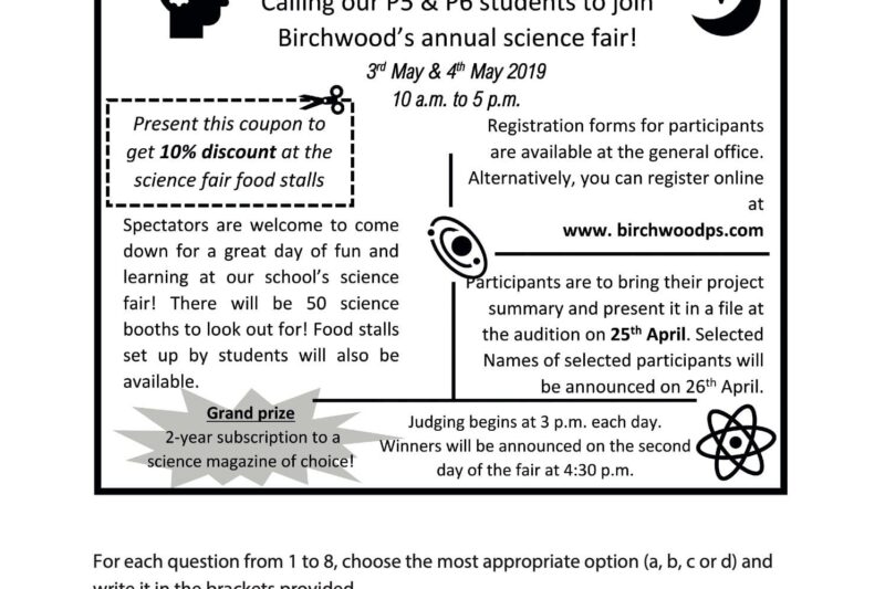 Visual Reading Comprehension Worksheets