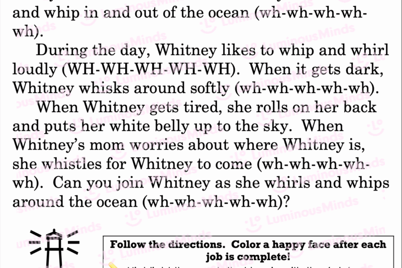 Consonant Digraphs Reading Comprehension Worksheets