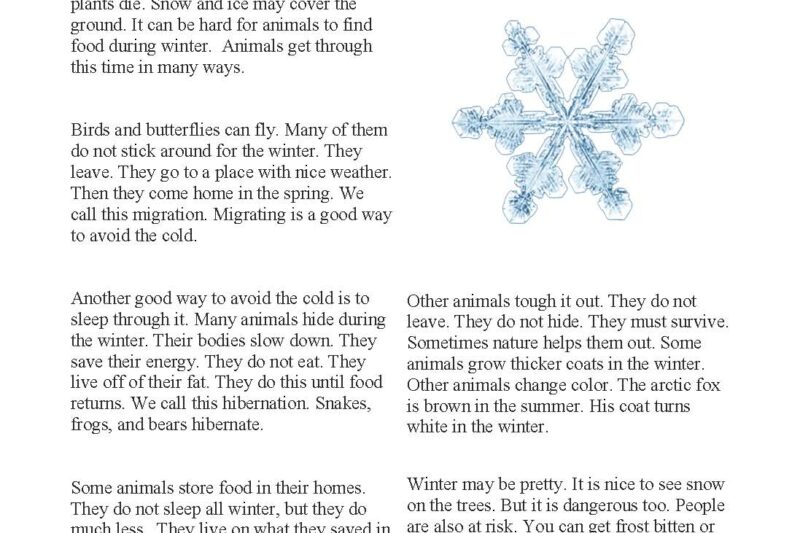 Winter Weather Reading Comprehension Worksheets