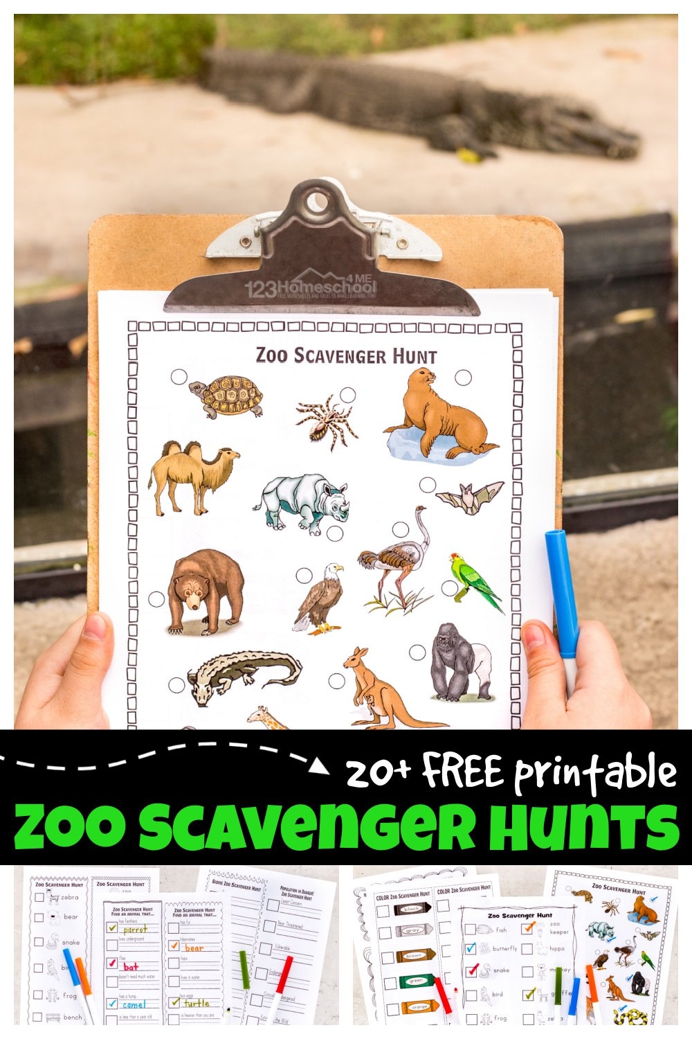 Free Printable Zoo Worksheets