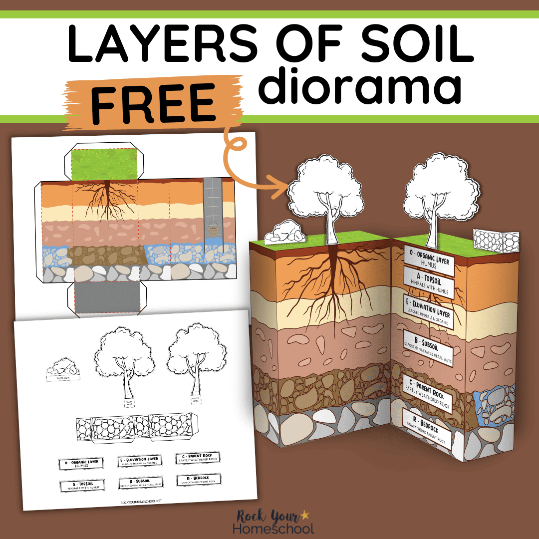3D Soil Layers Diorama Rock Your Homeschool