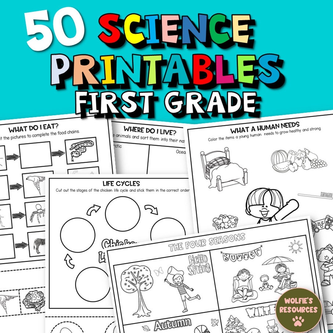 Science Worksheets First Grade Printable Free