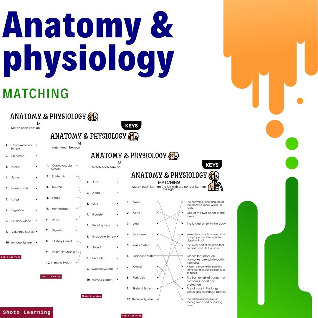 Anatomy U0026 Physiology Reading Comprehension Worksheet