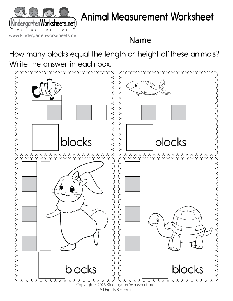 Animal Measurement Worksheet Free Printable Digital U0026 PDF