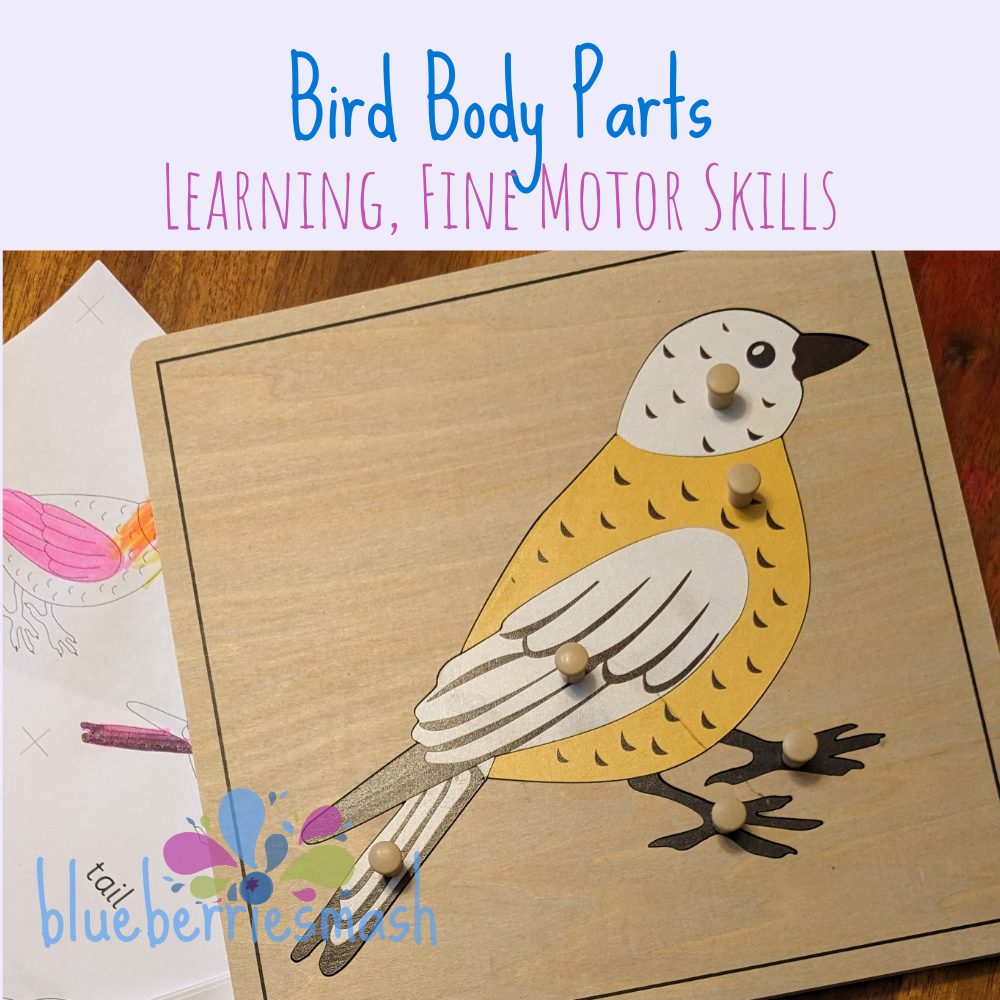 Beautiful Birds Activities For Preschoolers BlueberrieSmash Beautiful Birds Activities For Preschoolers BlueberrieSmash
