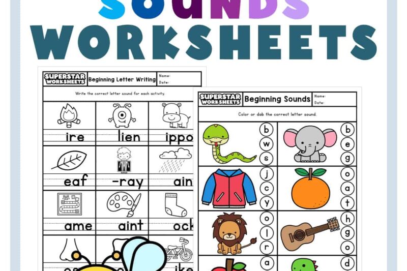 Sound Out The Word Kindergarten Worksheet