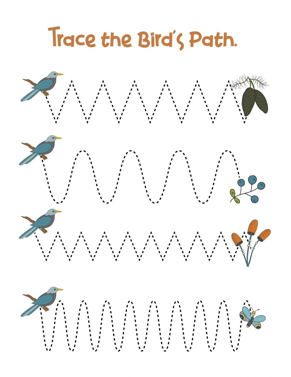 Bird Preschool Activities Pack Natural Beach Living Bird Preschool Activities Pack Natural Beach Living