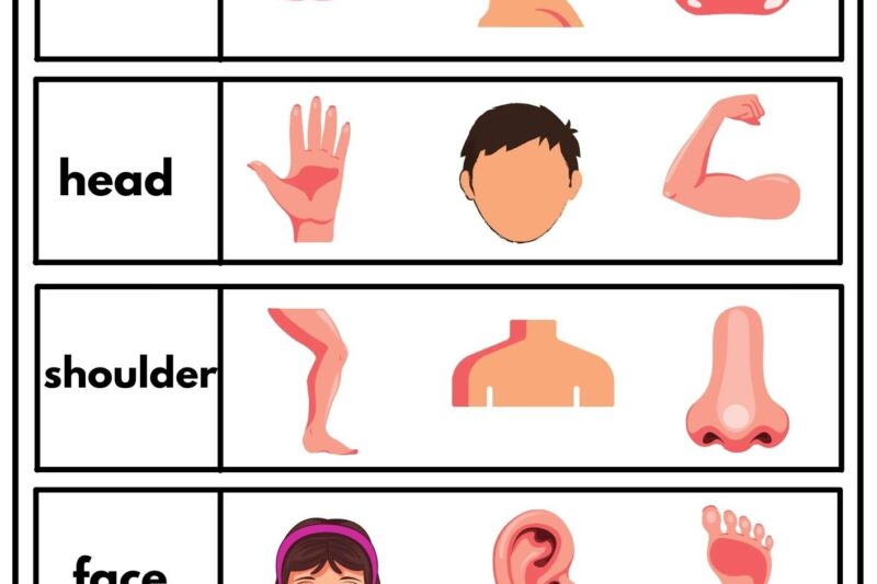 Preschool Body Parts Printables Simple