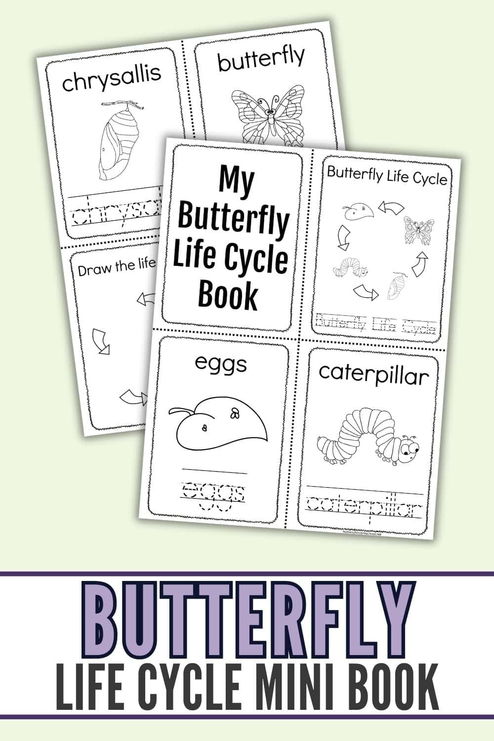 Butterfly Life Cycle Printable Book Fun Learning