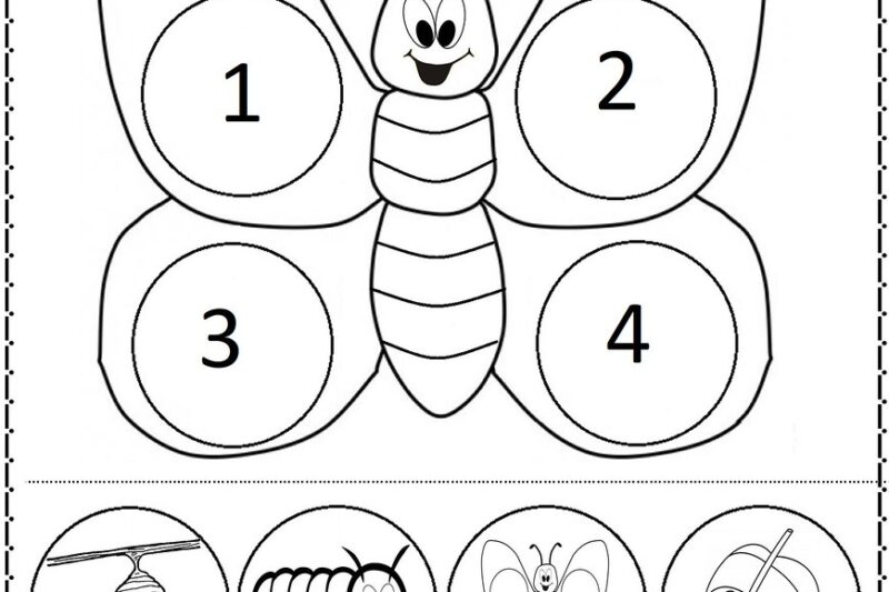 Printables For Preschool Buterfly Life Cycle