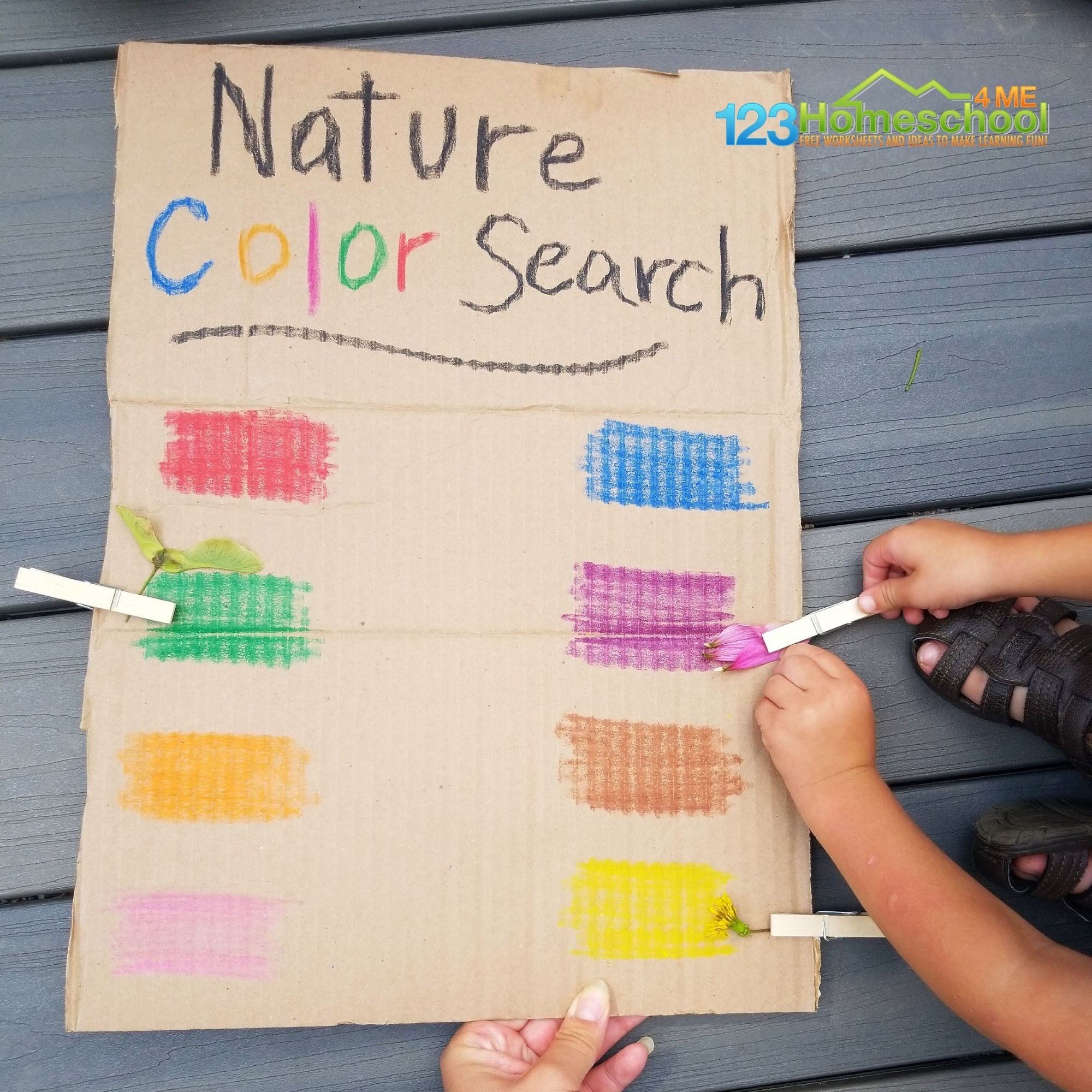 Preschool Printable Color Hunt