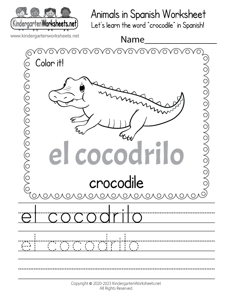 Crocodile In Spanish Worksheet Free Printable Digital U0026 PDF