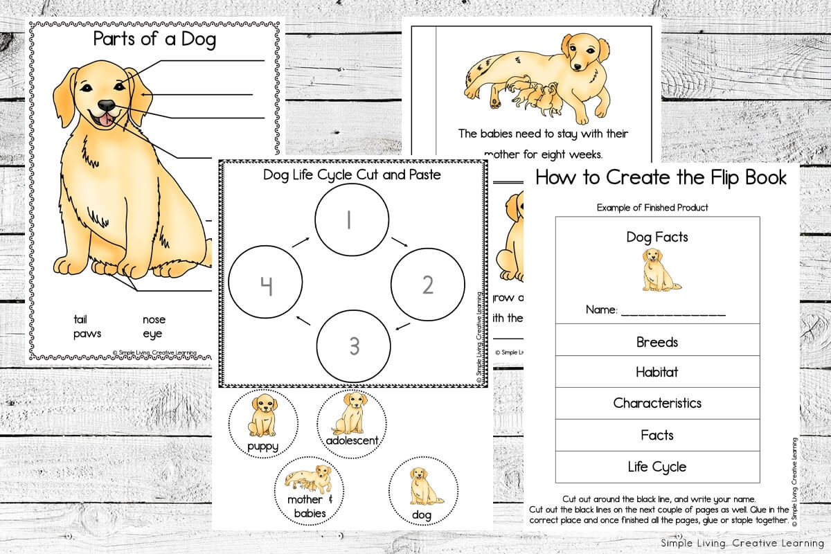 Free Printable Pet Care Worksheets