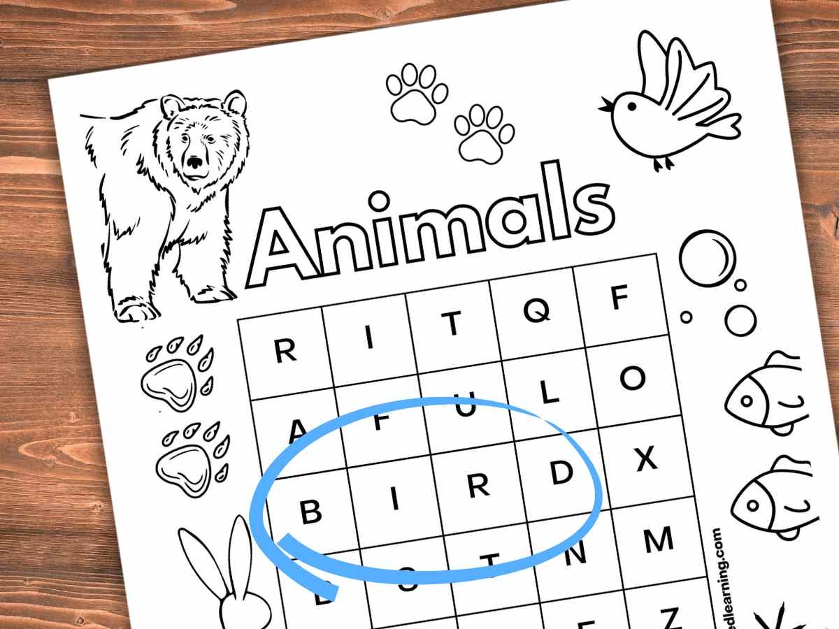 Preschool Word Search Free Printable