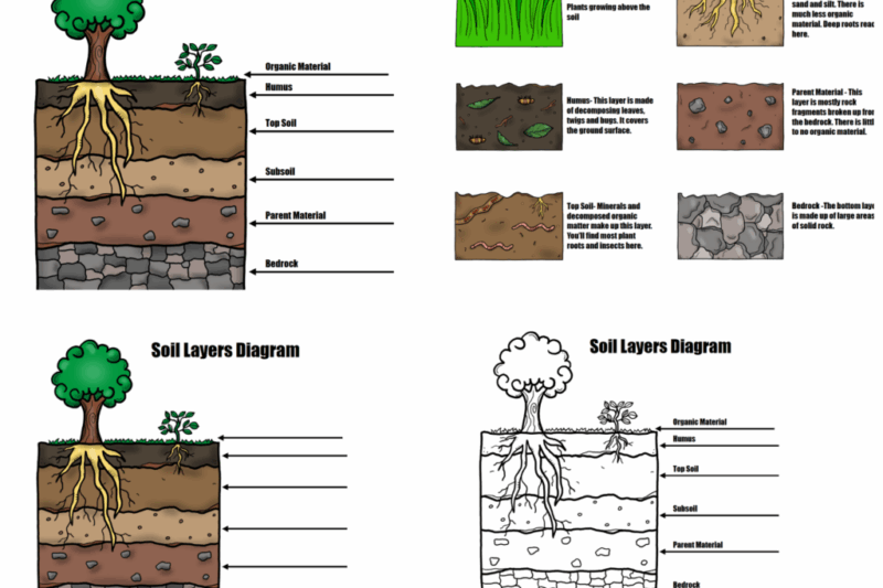 Soil Layers Preschool Printable