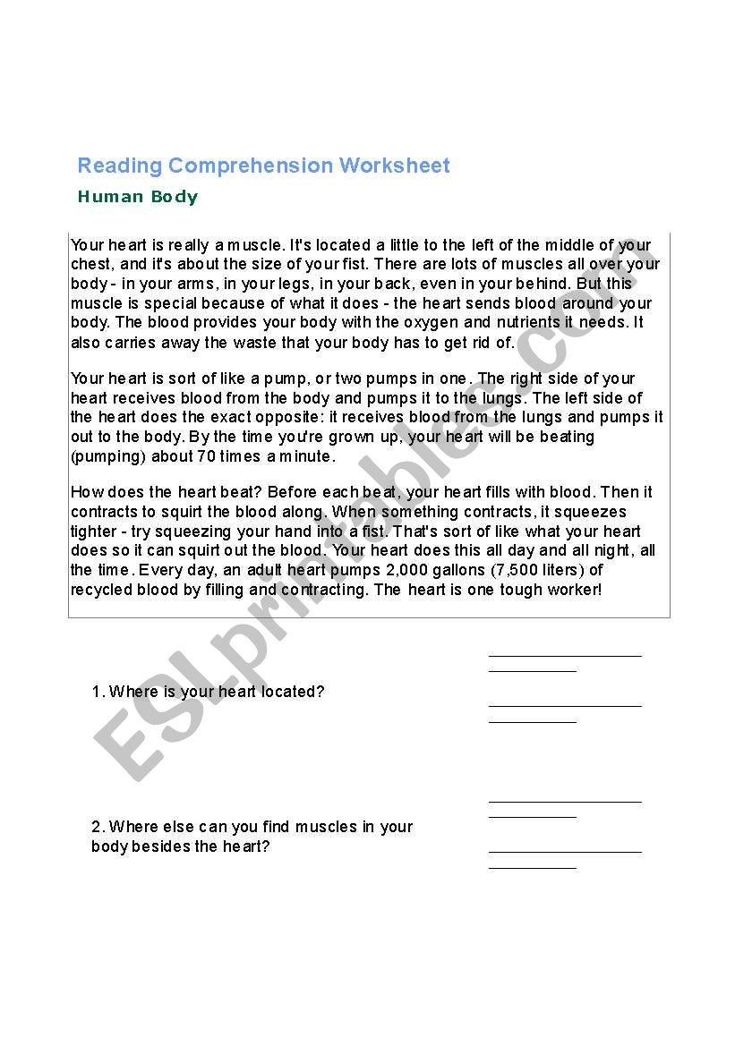 English Worksheets Reading Comprehension About The Human Body