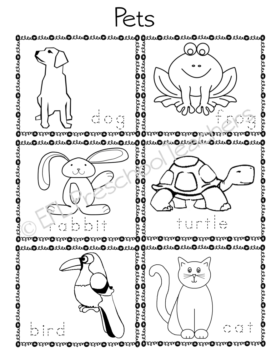 ESL EFL Preschool Teachers Pet Activities For Preschool ELL ESL EFL Preschool Teachers Pet Activities For Preschool ELL