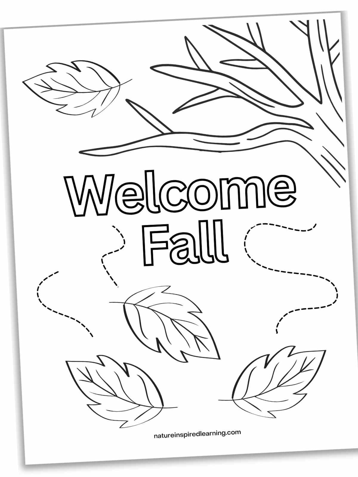 Fall Coloring Pages Nature Inspired Learning