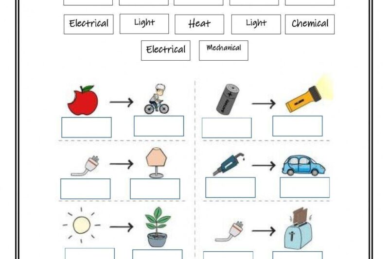 Free Printable Science Worksheets Energy