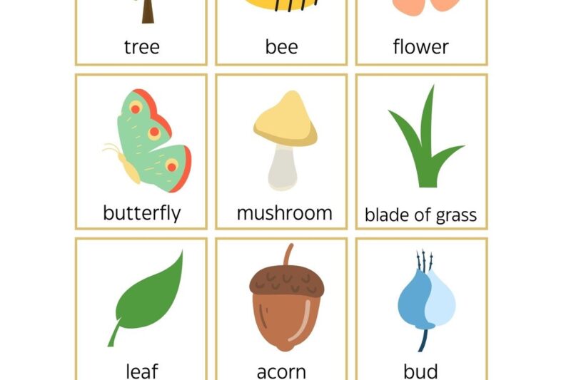 Preschool Outdoor Scavenger Hunt Printable