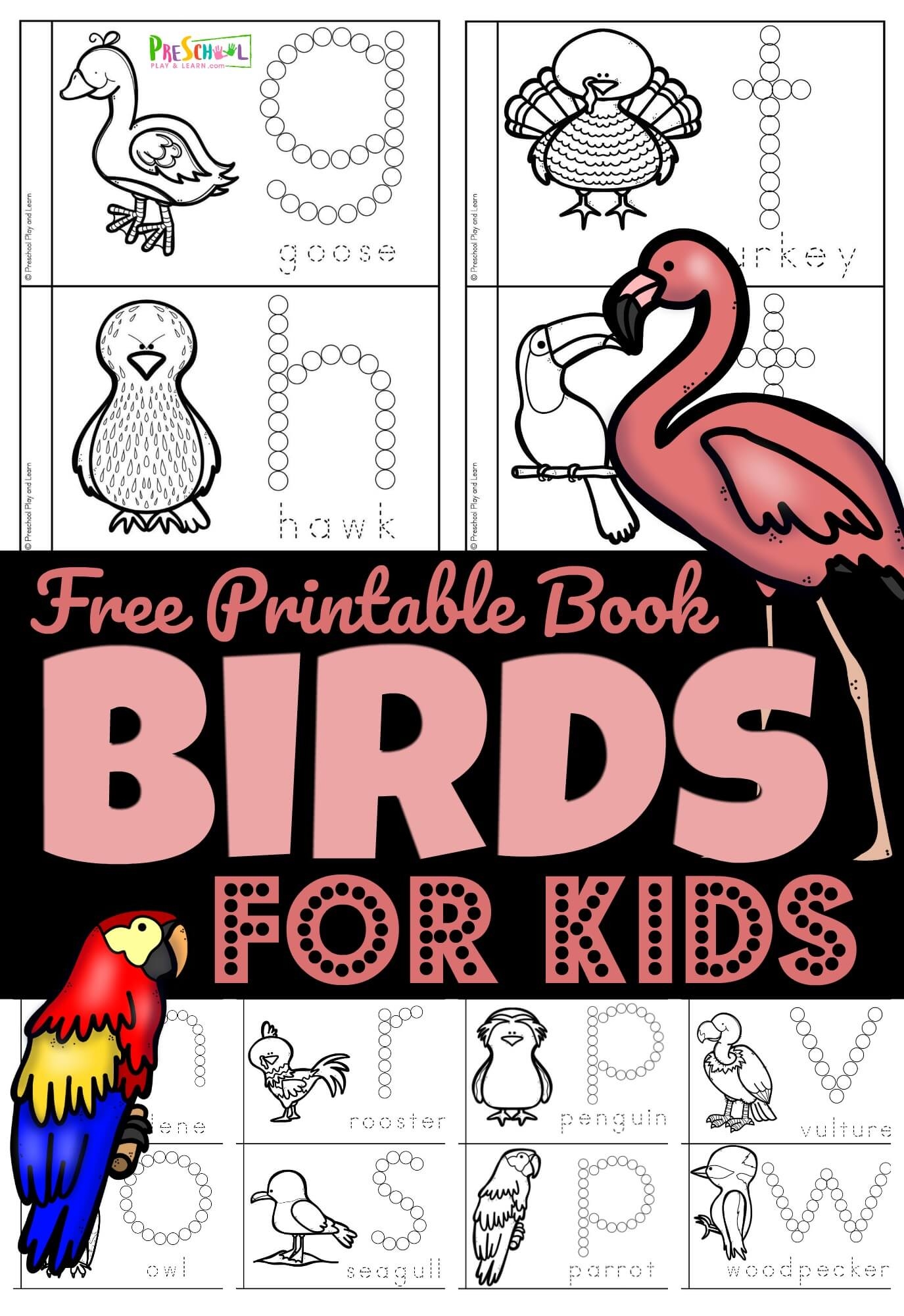 FREE Birds For Preschoolers Printable Book FREE Birds For Preschoolers Printable Book