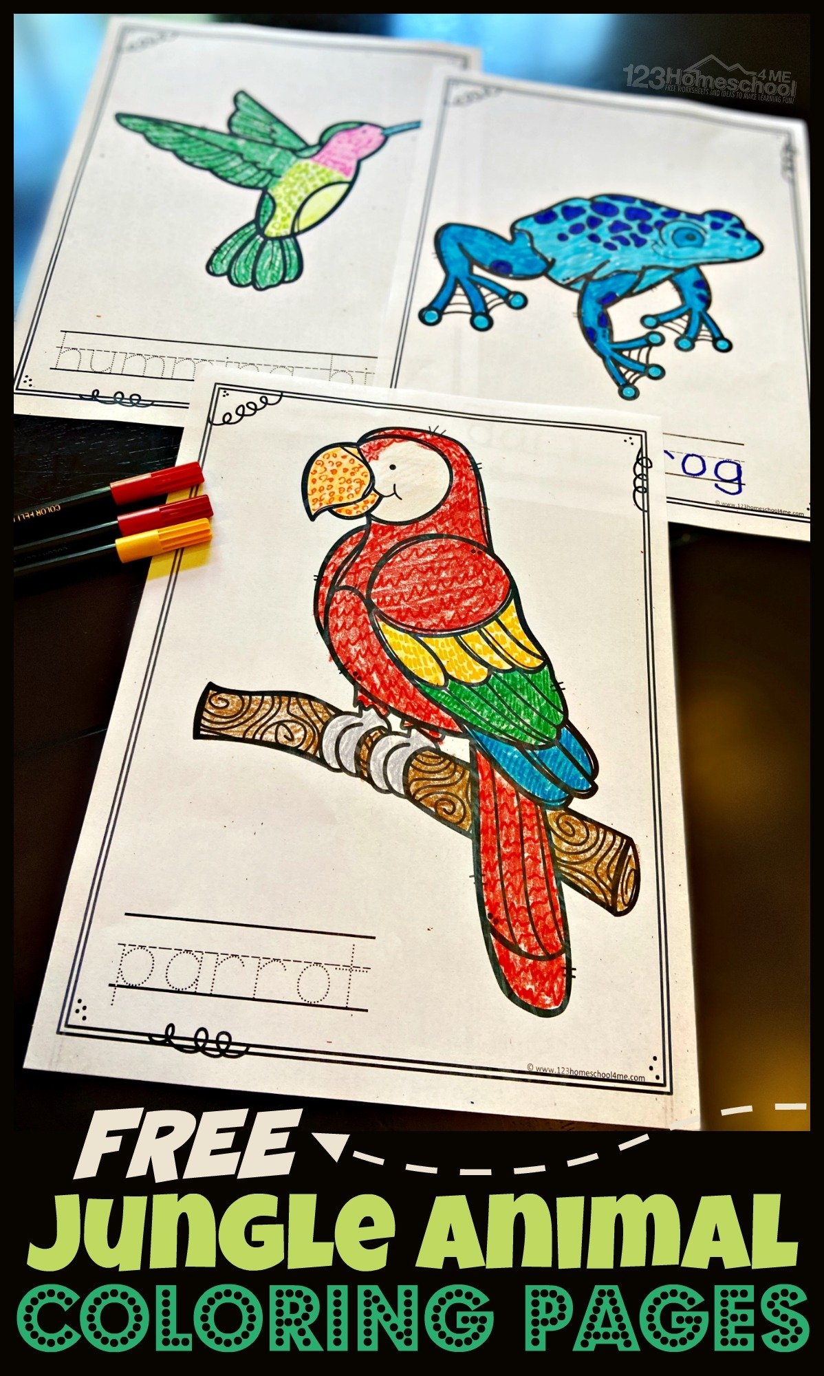 Rainforest Preschool Art Printable