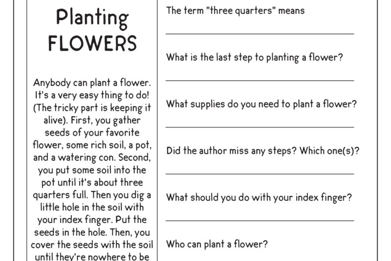 Fun Free Reading Comprehension Worksheets