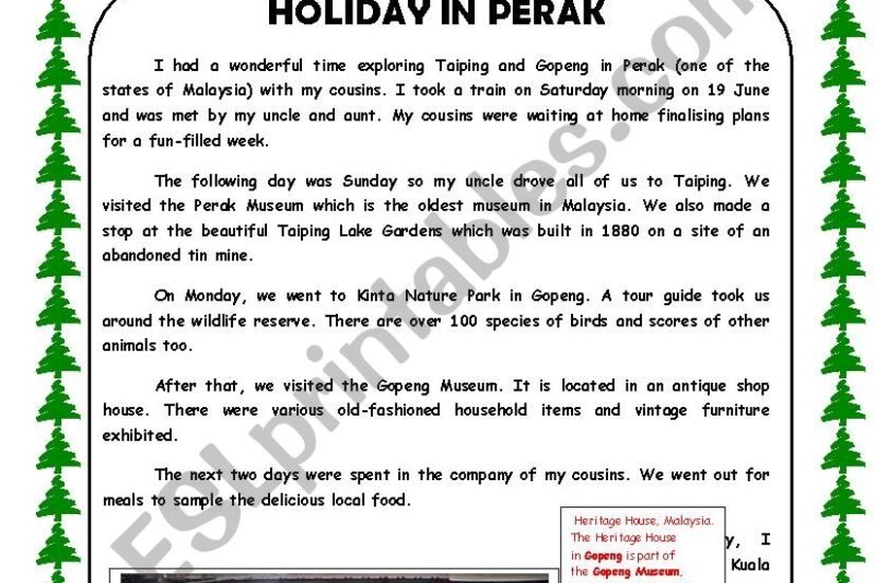 Holiday Reading Comprehension Worksheets Pdf