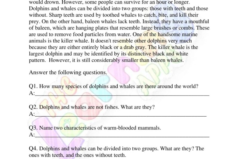 Whales Free Reading Comprehension Worksheets