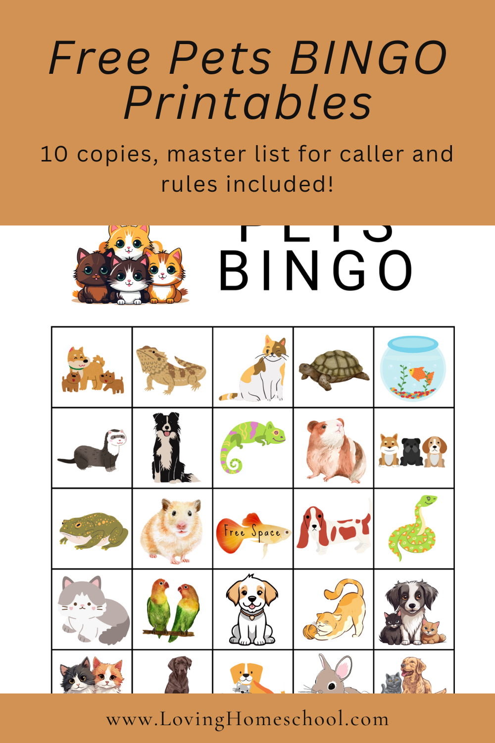 Printable Animal Bingo For Preschoolers