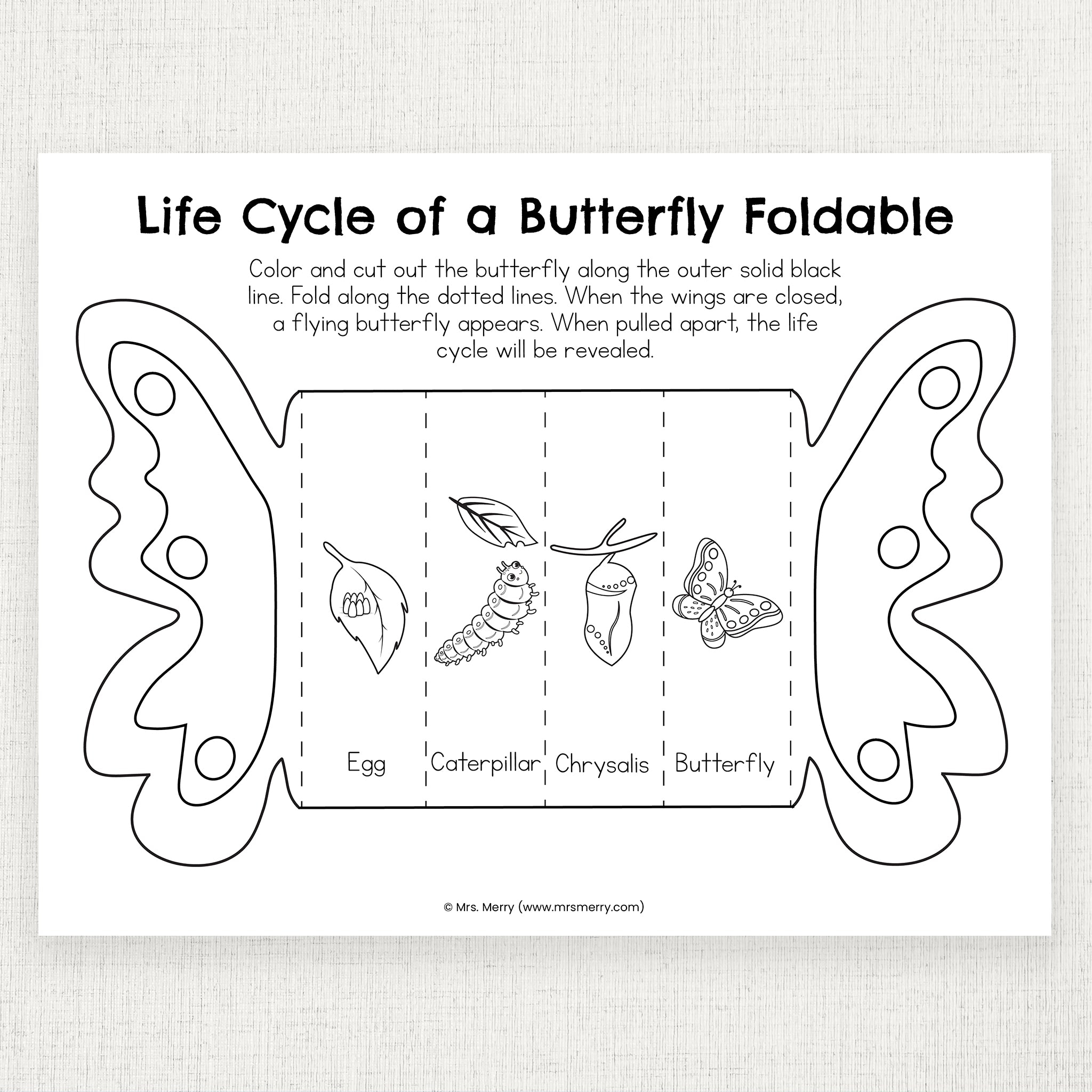 Free Printable Butterfly Life Cycle Worksheets The Keeper Of The Worksheets Library