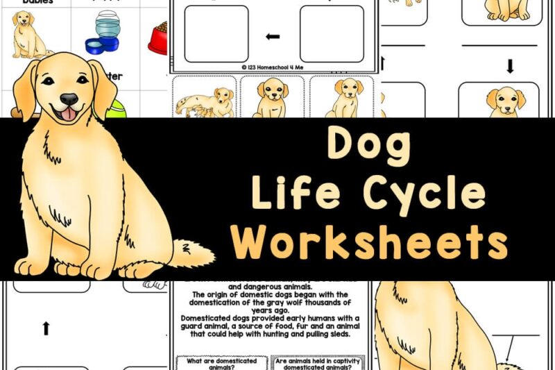 Free Printable Puppy Worksheets