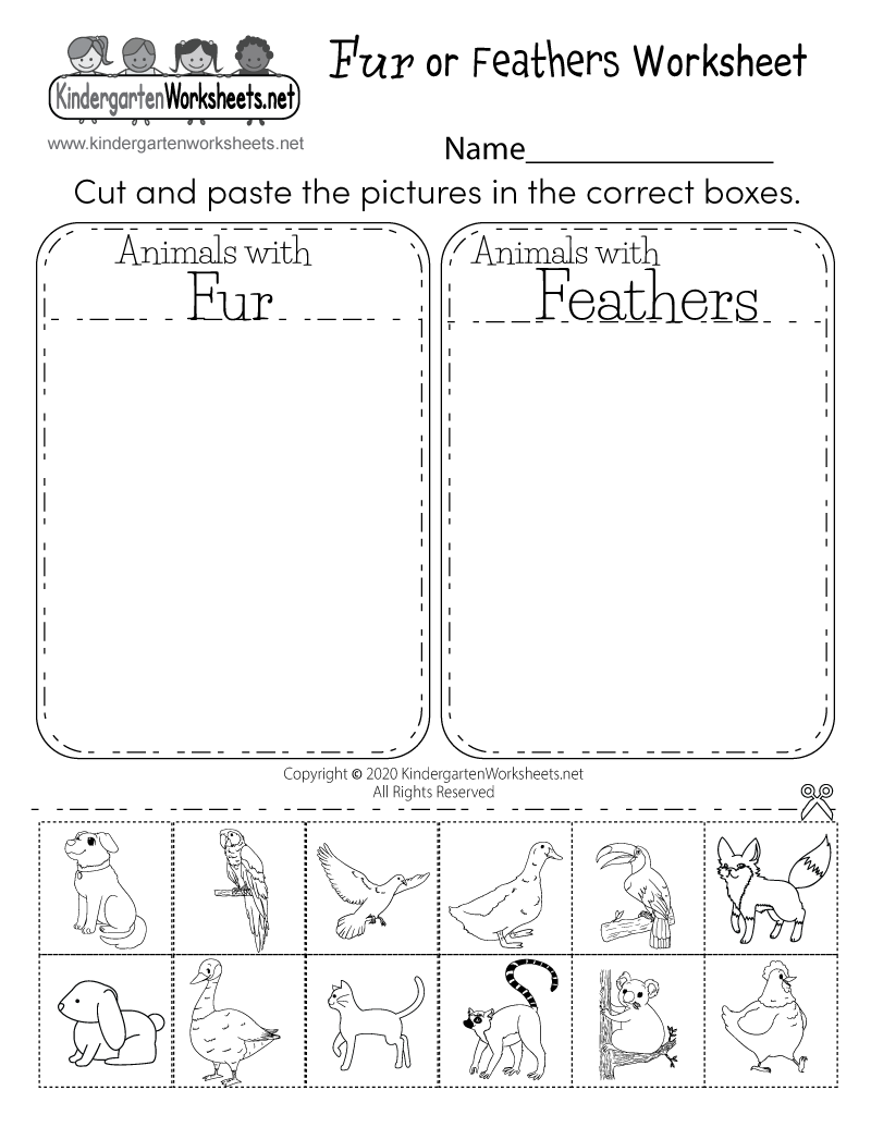 Kindergarten Worksheets Science Free