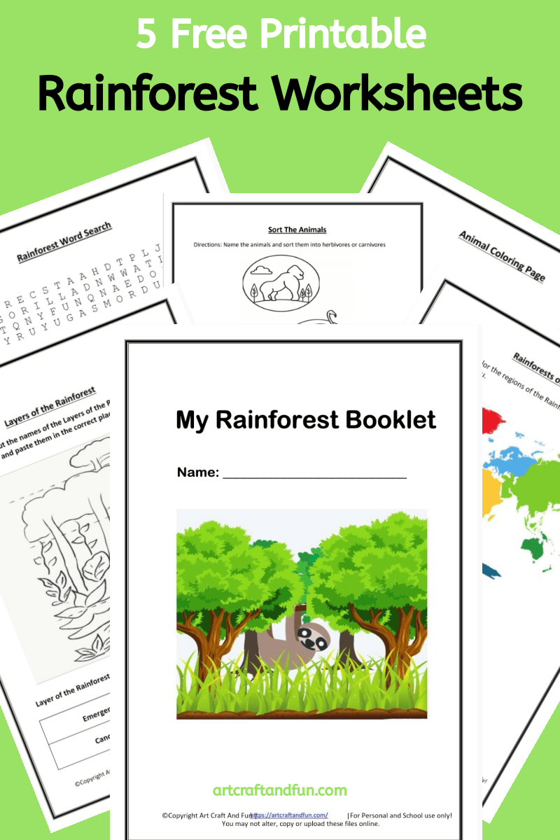 Free Printable Rainforest Worksheets 