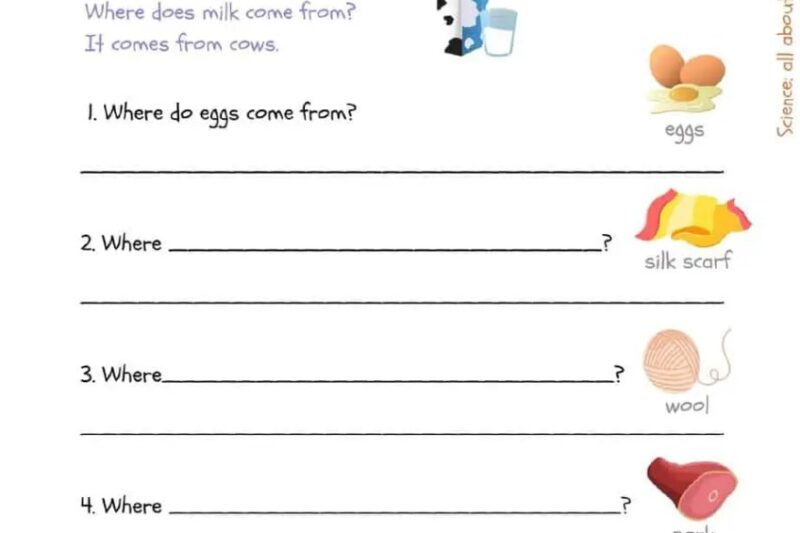 Grade 2 Science Worksheets Free Printable